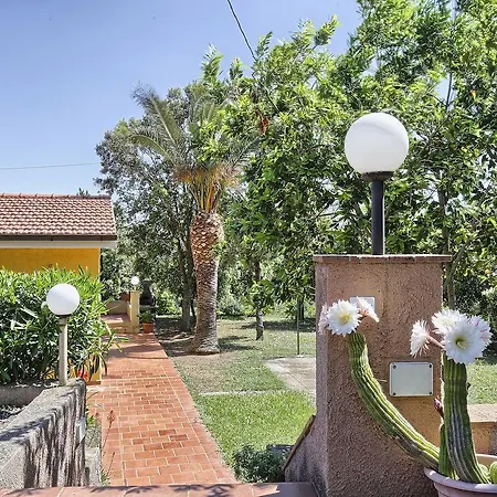 Apartman I Gelsi Trilo Nr 5 *