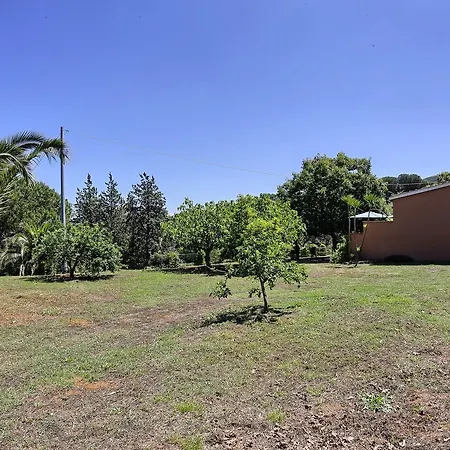 I Gelsi Trilo Nr 5 * Capoliveri
