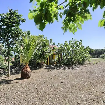 I Gelsi Trilo Nr 5 * Capoliveri
